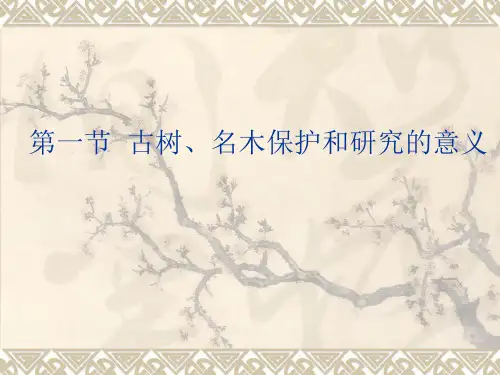 第七章  古树、名木的养护管理