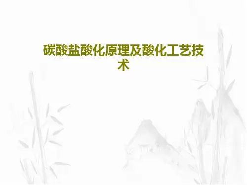 碳酸盐酸化原理及酸化工艺技术118页PPT
