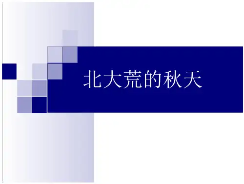 《北大荒的秋天》2