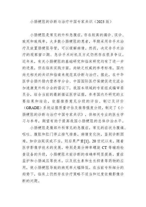 小肠梗阻的诊断与治疗中国专家共识