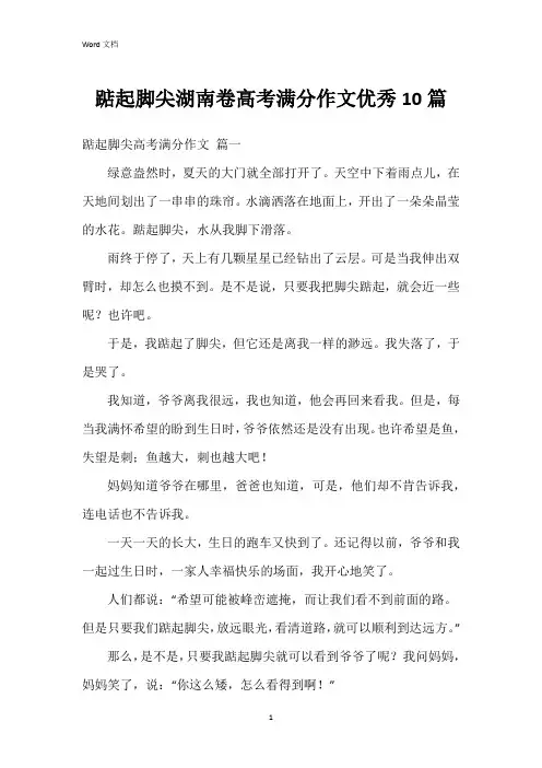 踮起脚尖湖南卷高考满分作文10篇
