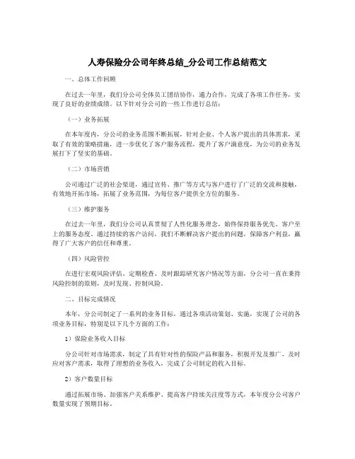 人寿保险分公司年终总结_分公司工作总结范文