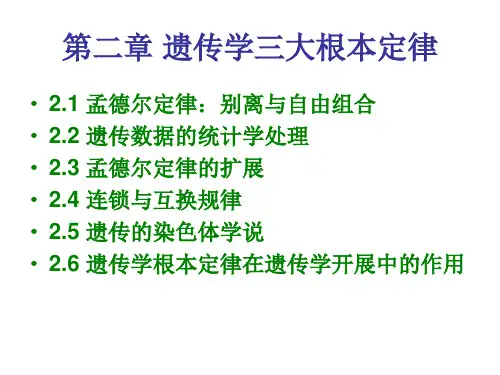 《遗传基本规律》幻灯片PPT