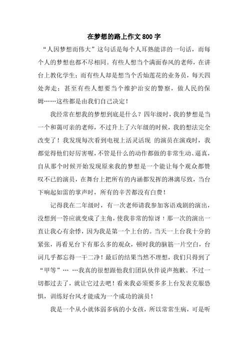 在梦想的路上作文800字