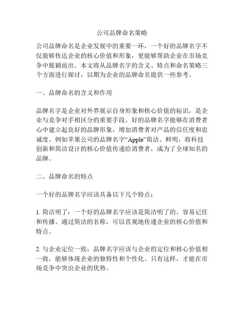 公司品牌命名策略