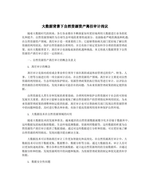 大数据背景下自然资源资产离任审计浅议