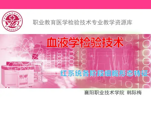 红系统各阶段细胞形态特征