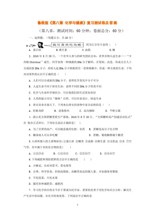 鲁教版《第八章 化学与健康》复习测试卷及答案