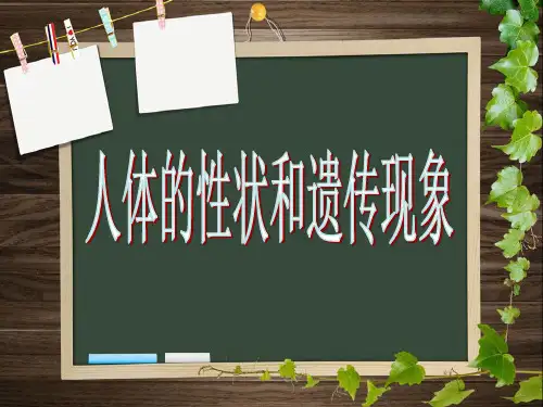上海版八年级上册生物  2.3.1 人体的性状和遗传现象 课件   (共24张PPT)