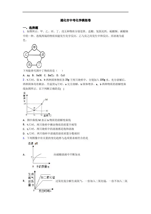 通化市中考化学模拟卷