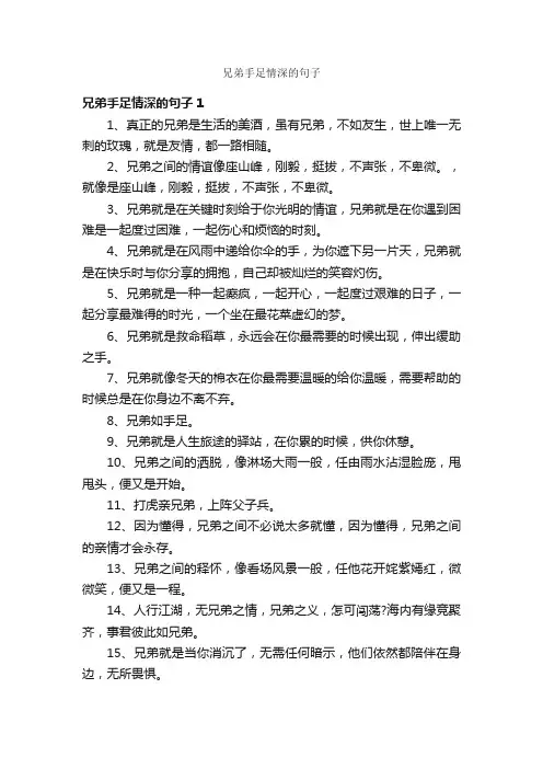 兄弟手足情深的句子