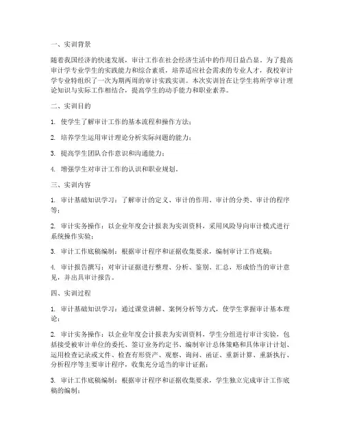 审计学专业实践实训报告