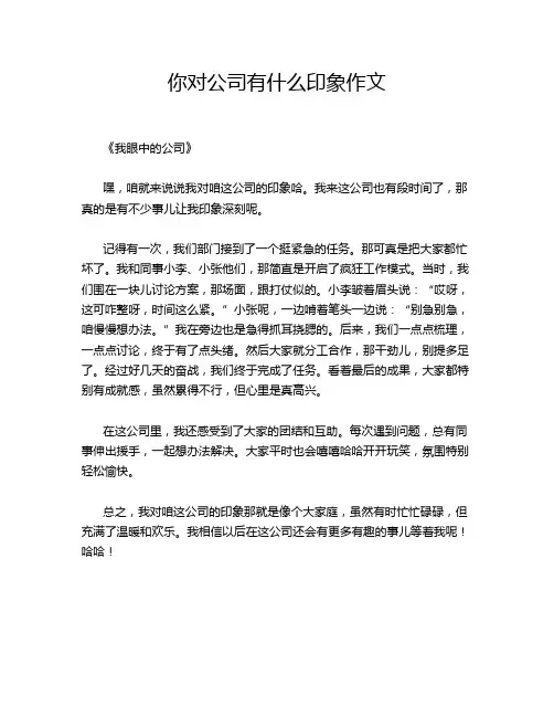 你对公司有什么印象作文