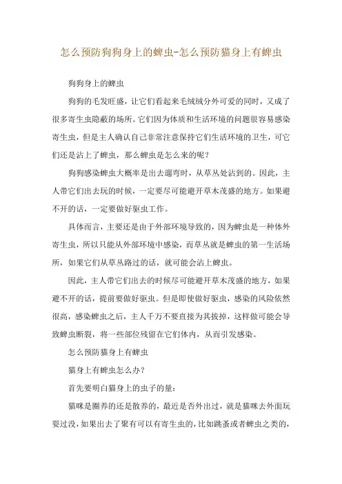怎么预防狗狗身上的蜱虫-怎么预防猫身上有蜱虫