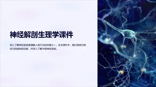 《神经解剖生理学课件》