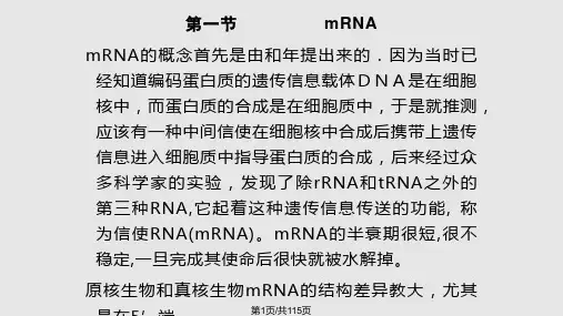 蛋白质的合成PPT课件