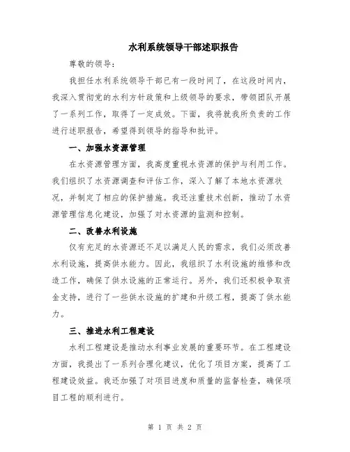 水利系统领导干部述职报告