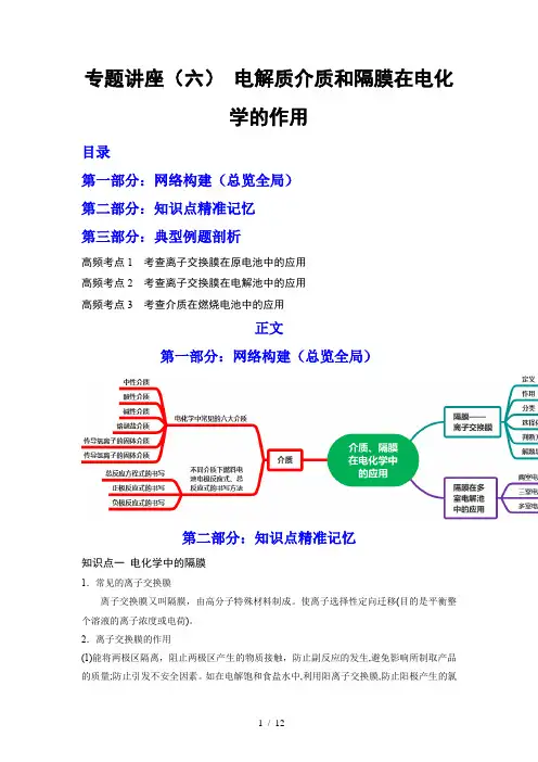 专题讲座(六) 电解质介质和隔膜在电化学的作用(讲)(解析版)