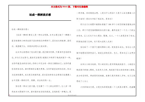 站成一棵树读后感