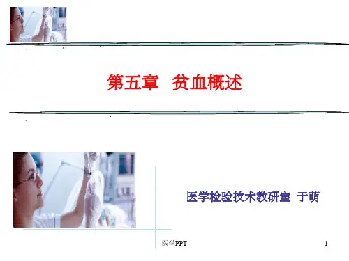 《贫血概述》PPT课件 (2)