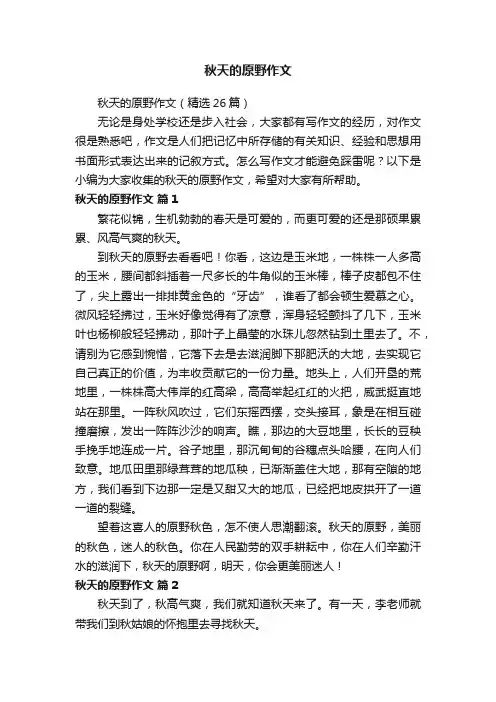 秋天的原野作文