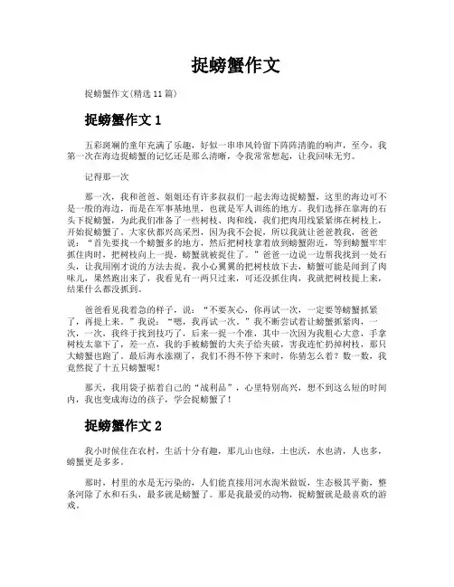 捉螃蟹作文