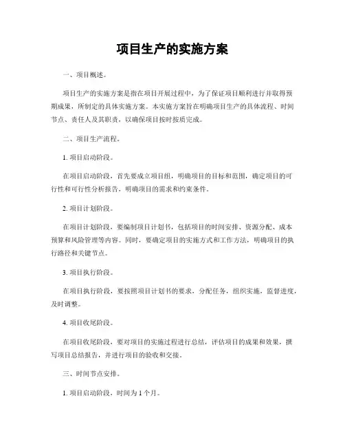 项目生产的实施方案
