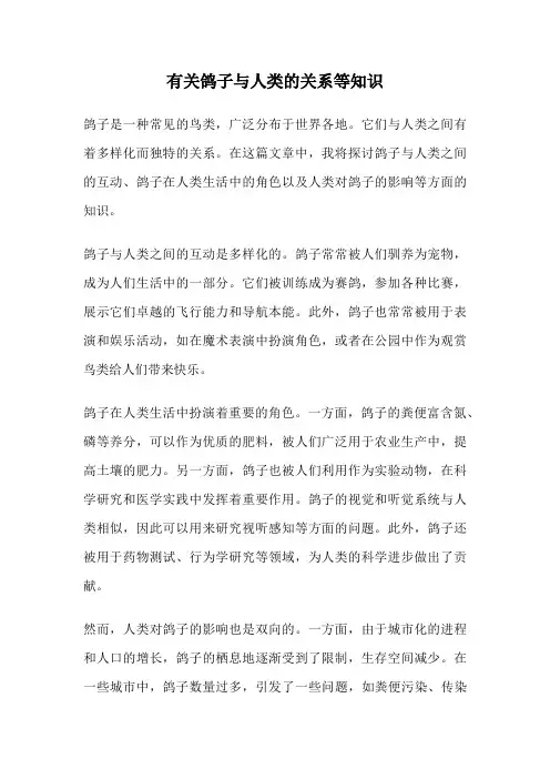 有关鸽子与人类的关系等知识