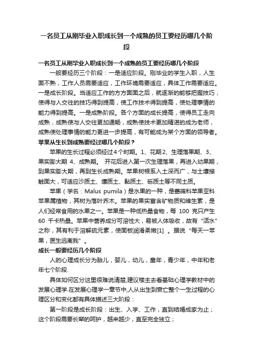 一名员工从刚毕业入职成长到一个成熟的员工要经历哪几个阶段