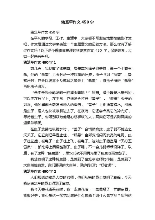 猪笼草作文450字