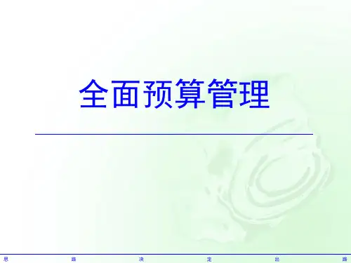 全面预算管理概述(ppt 65页)