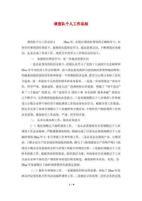 调查队个人工作总结
