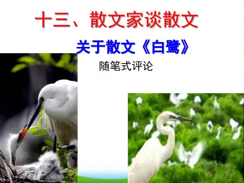 苏教版语文九年级上册第四单元课件：第13课《散文家谈散文》(共36张PPT)