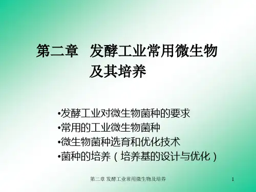 第二章发酵工业常用微生物及其培养