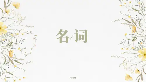 名词课件-高考英语一轮复习