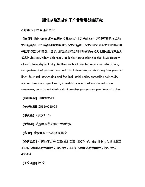 湖北制盐及盐化工产业发展战略研究