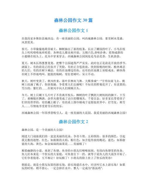 森林公园作文30篇