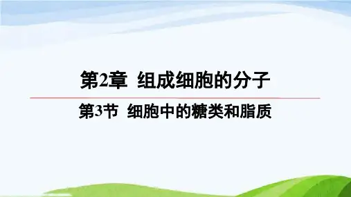 第二章第3节细胞中的糖类和脂质高中生物必修一人教版