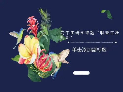 高中生职业生涯规划ppt