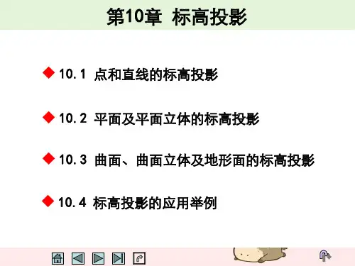 第10章标高投影