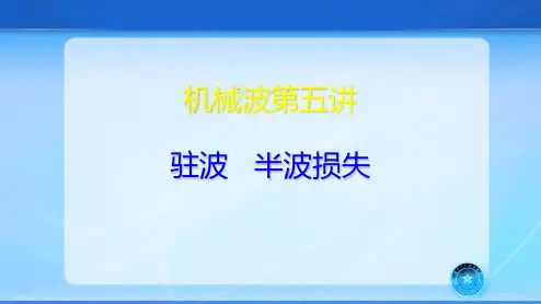驻波 半波损失
