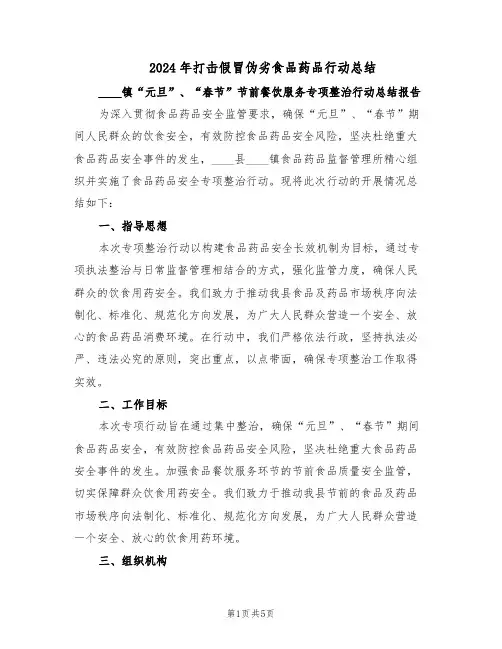 2024年打击假冒伪劣食品药品行动总结（二篇）