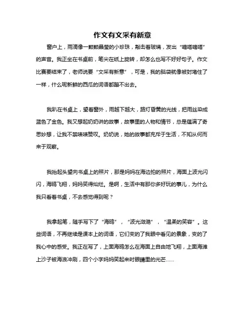 作文有文采有新意