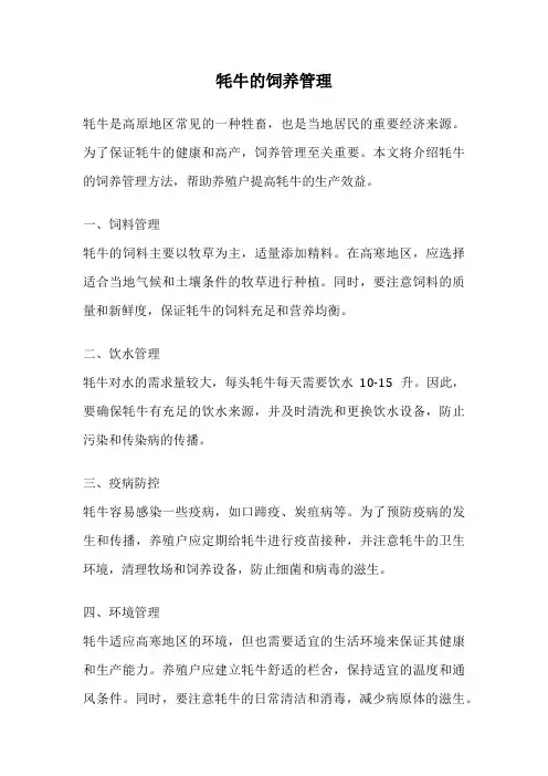 牦牛的饲养管理