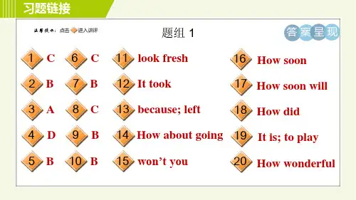 外研版七年级下册英语专项训练之句型专训习题课件