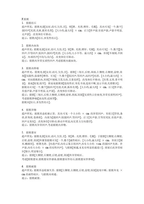 膀胱——精选推荐