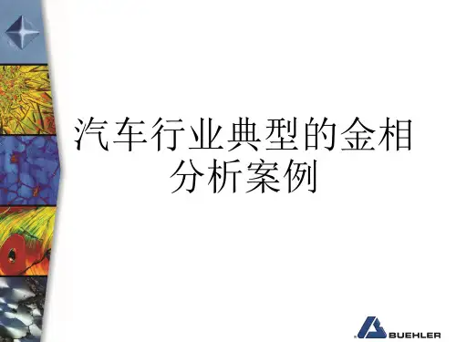 汽车行业典型的金相分析案例