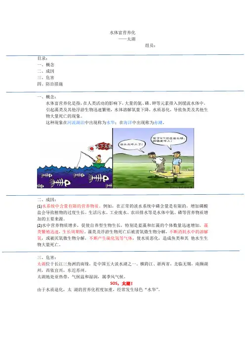 水体富营养化