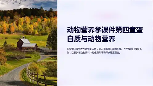 动物营养学课件第四章蛋白质与动物营养