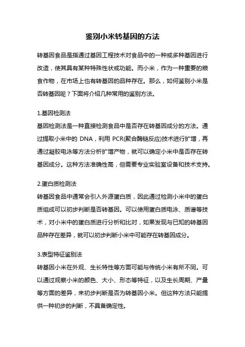 鉴别小米转基因的方法